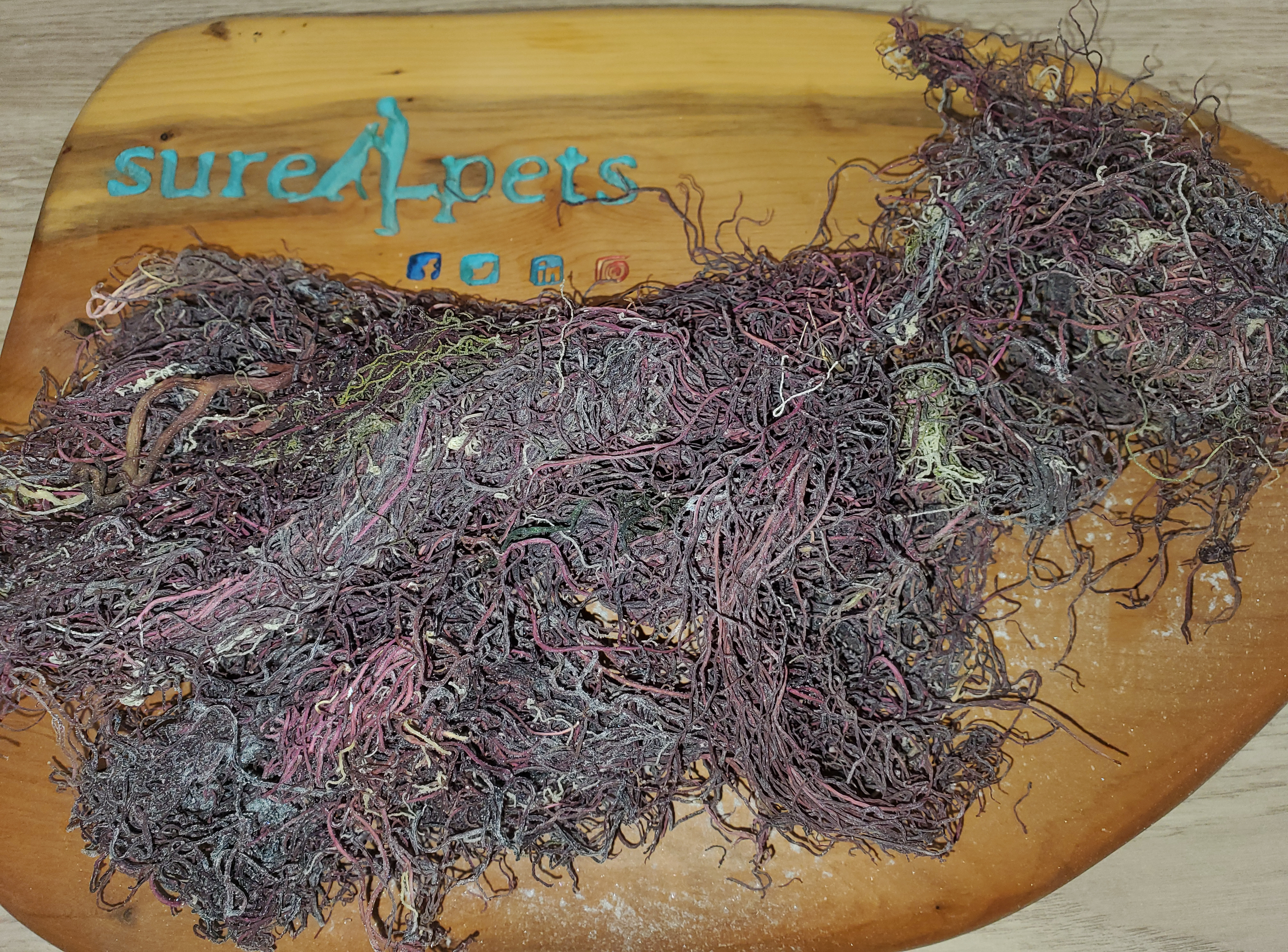 Genuine Wild Crafted Purple Irish Seamoss (80g)