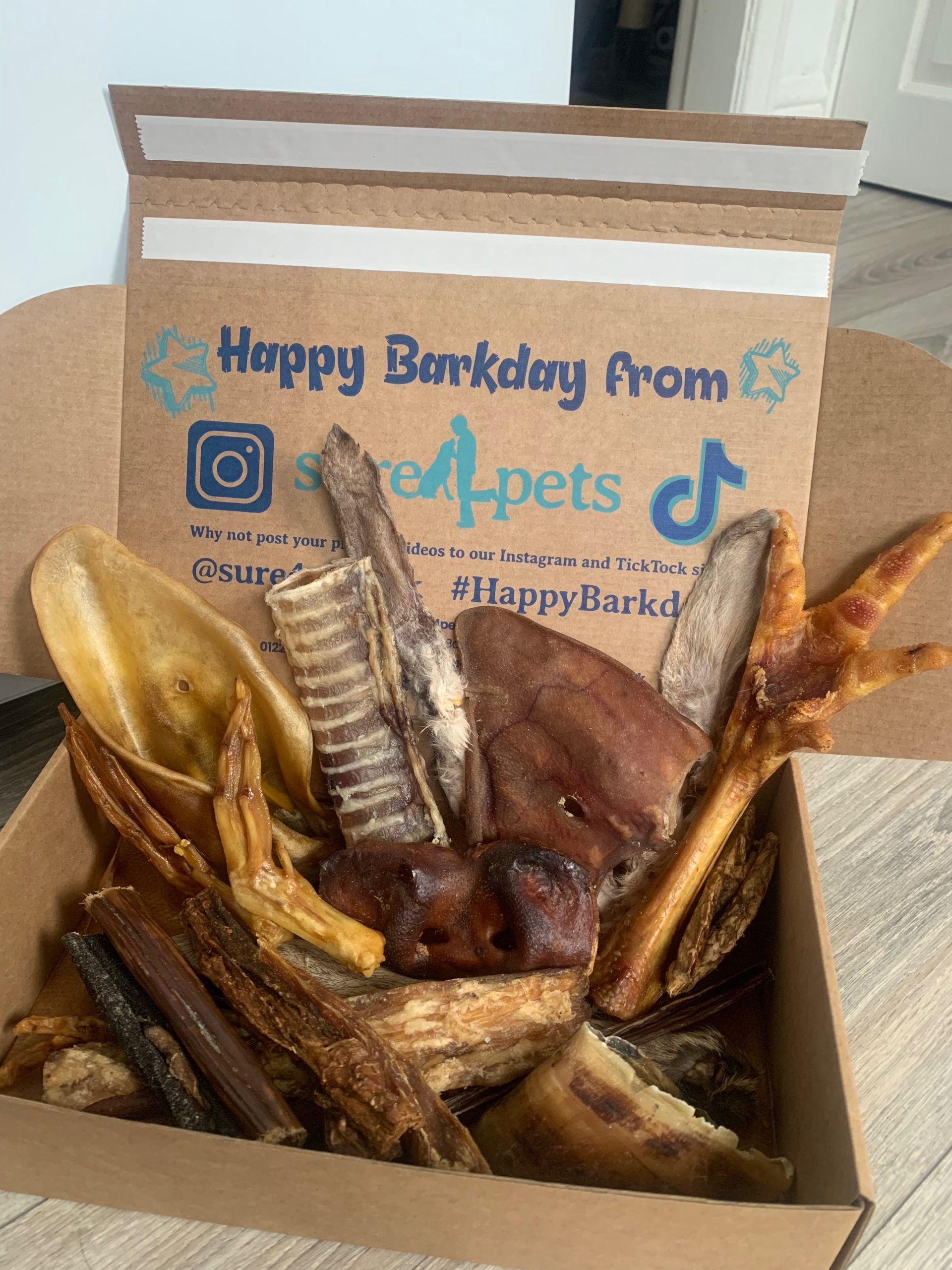 sure4pets Birthday Treat Box