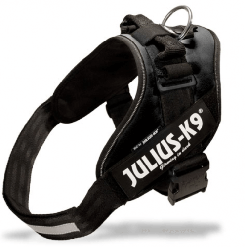 Collars, Leads, Harnesses & Tags