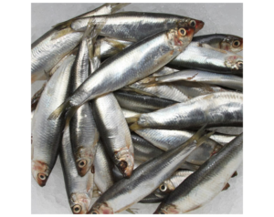 Whole Sprats (RRT)