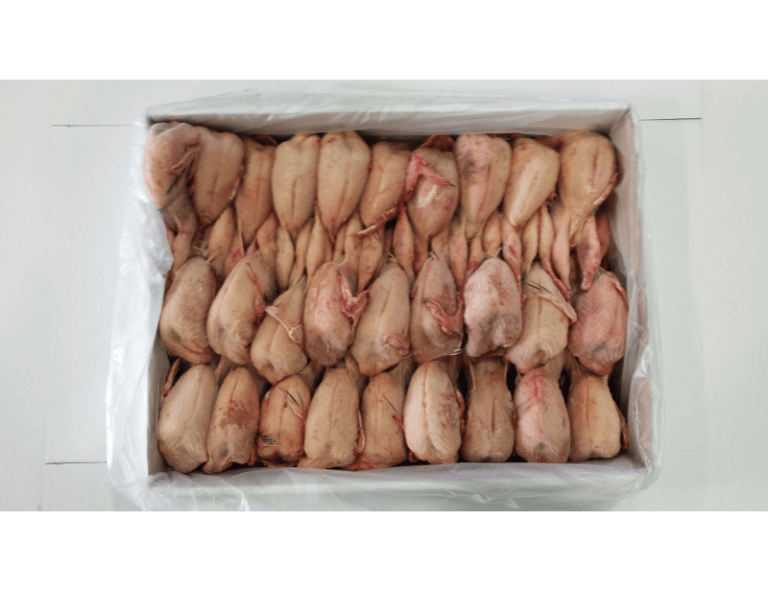 Standard-Plucked-quail-3