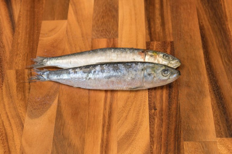 sardines-1