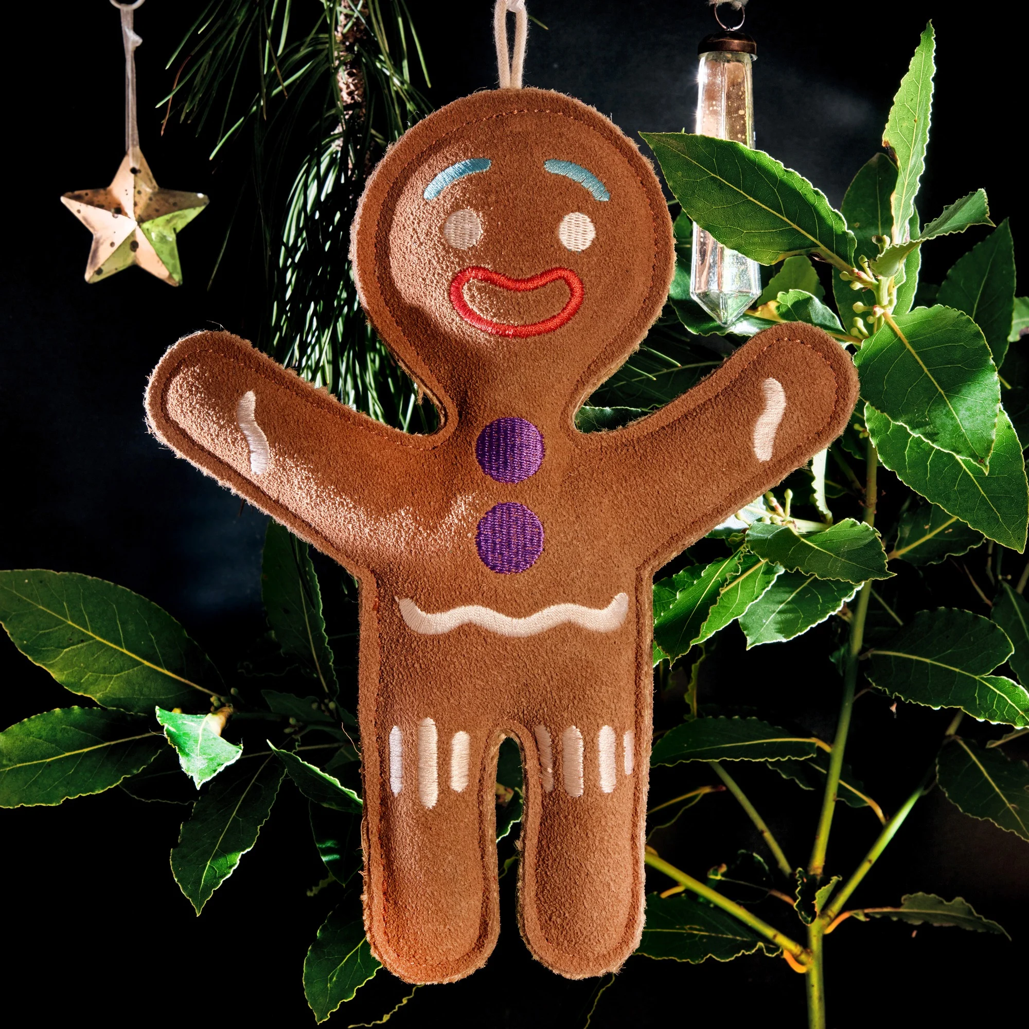 Jean Genie the Gingerbread Person (Eco Dog Toy)