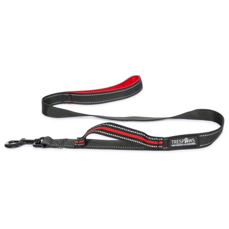 Trespaws Dog Bungee Lead Zathena