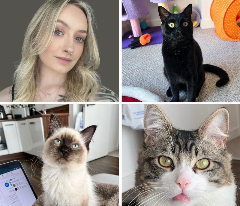 Wiktoria sure4pets social media manager and her three cats
