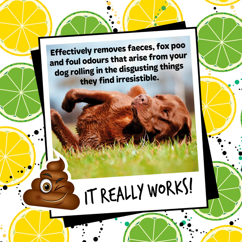 Bugalugs Stinky Dog Shampoo with Odour Neutraliser - Image 7