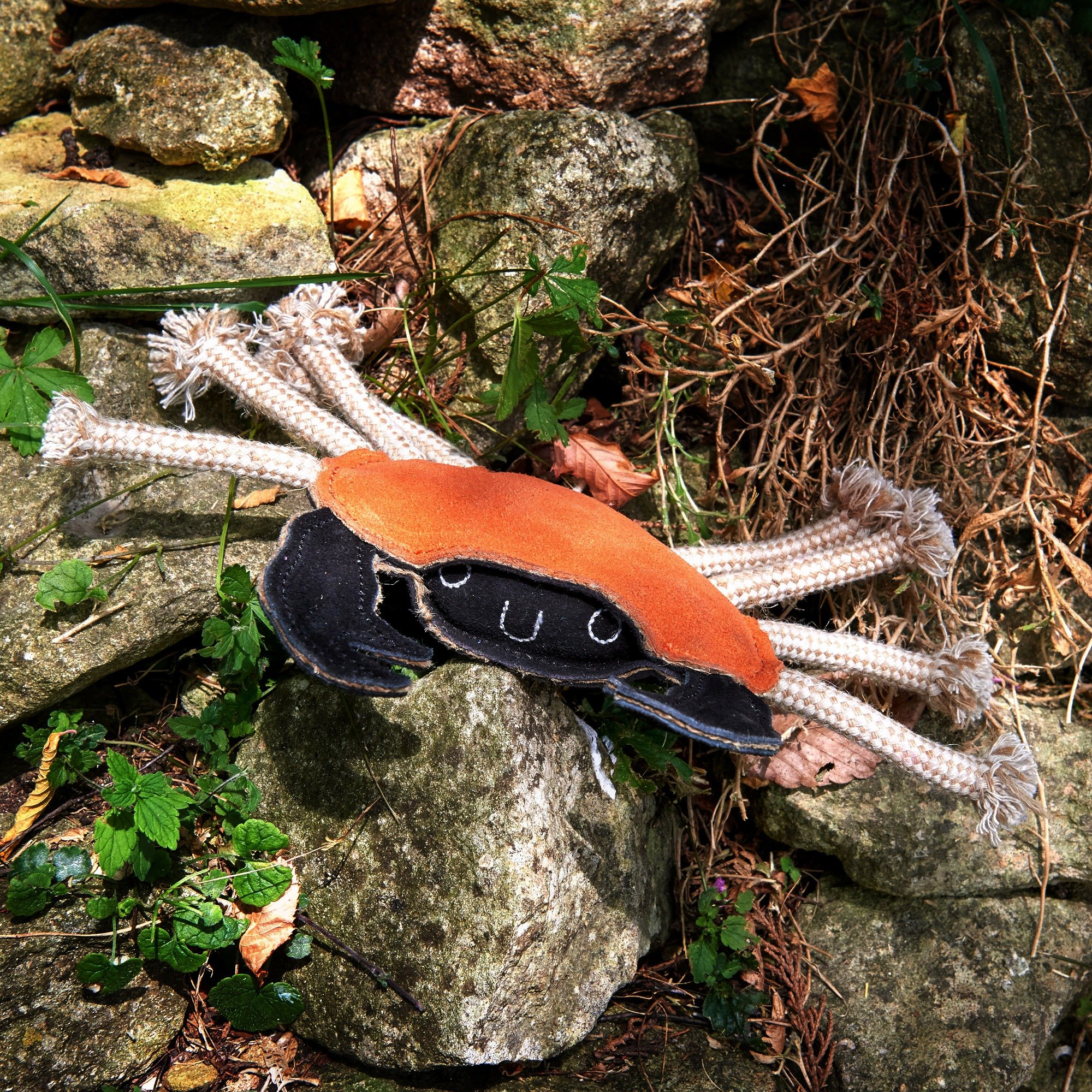 Carlos The Crab - Image 2