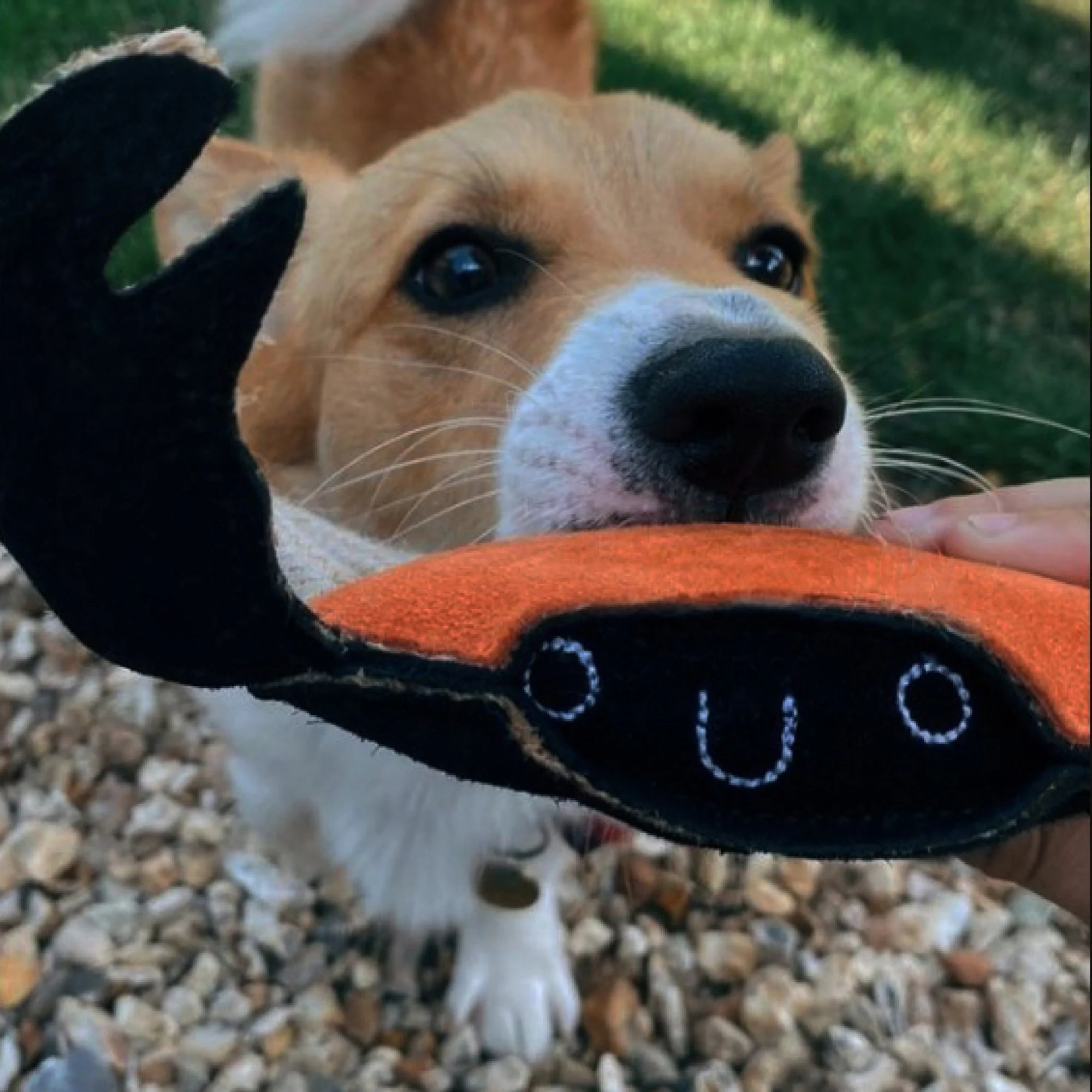 Carlos The Crab - Image 3