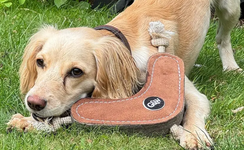 Benny the Boomerang (Eco Dog Toy) - Image 2