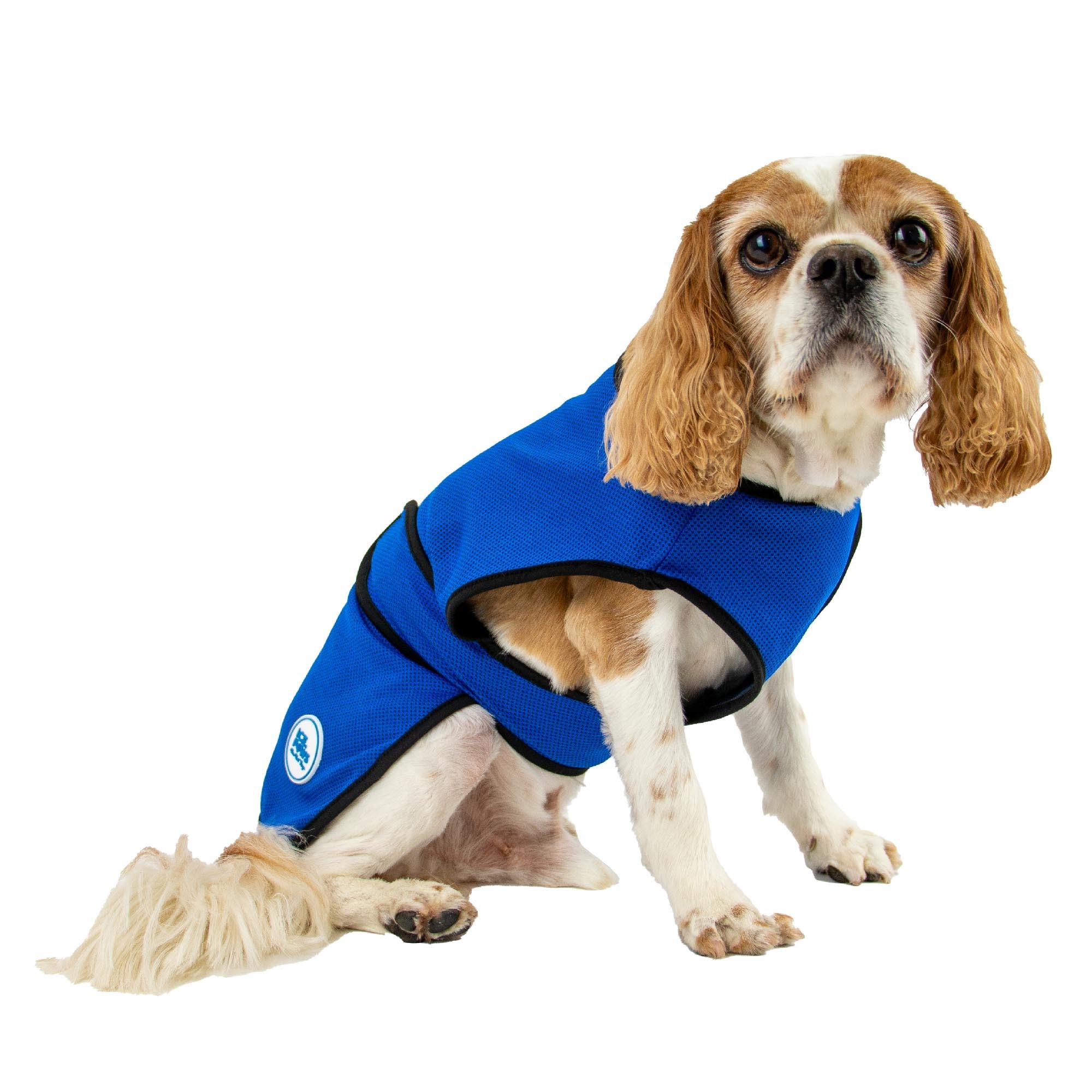 Ancol Cooling Coat