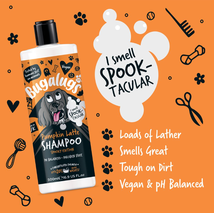 Bugalugs Pumpkin Latte Spooky Edition 500ml - Image 2