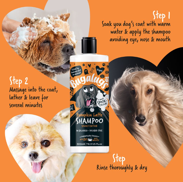 Bugalugs Pumpkin Latte Spooky Edition 500ml - Image 3