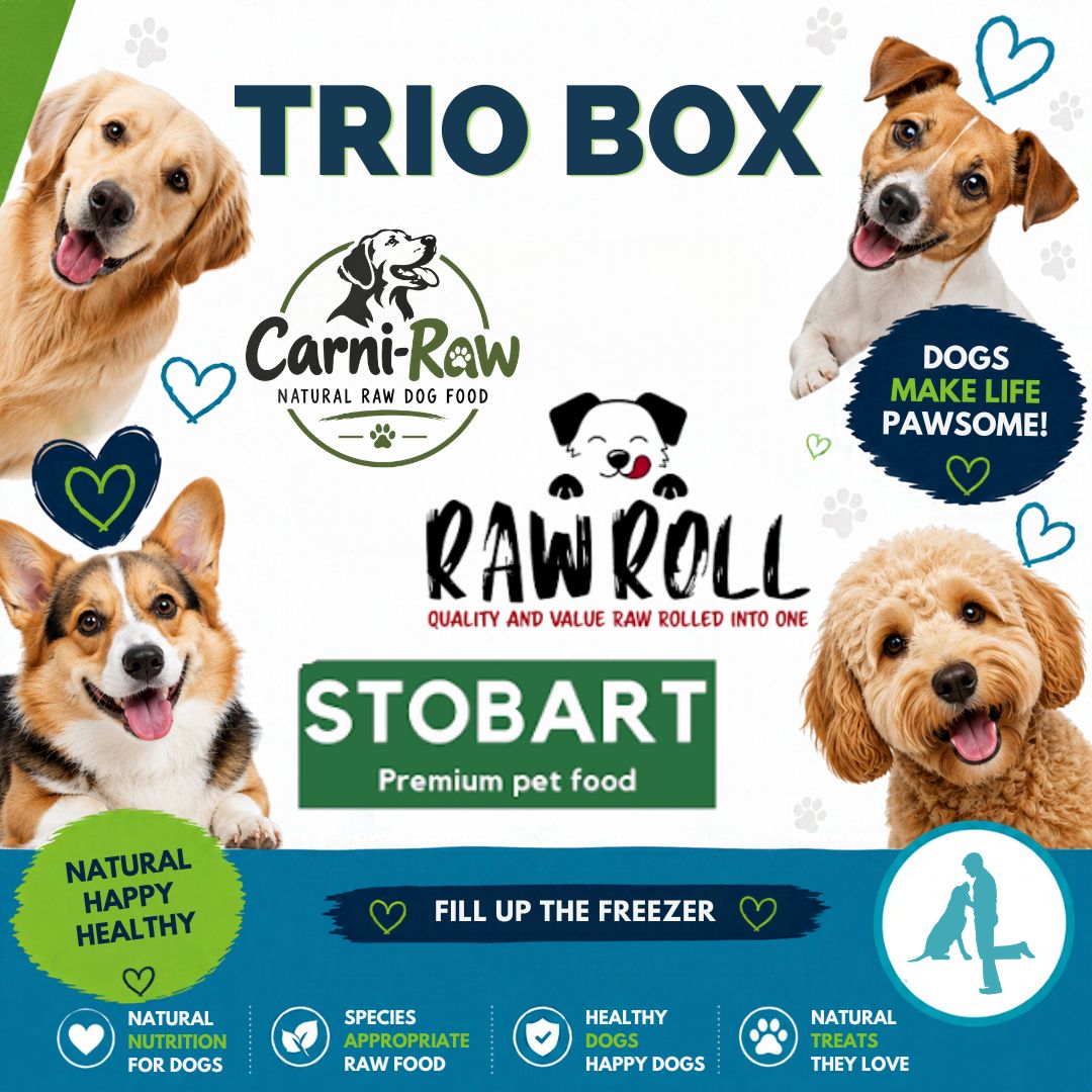 The Raw Trio Mixed Box (20x) - Image 2